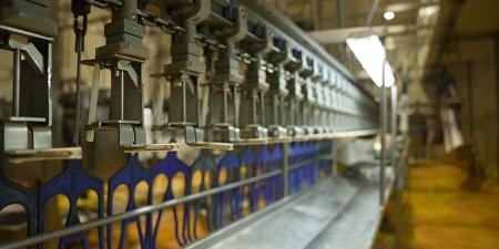 ¡Así de grande es Don Pollo!