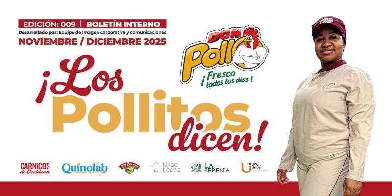 Boletín Noviembre - Diciembre 2025