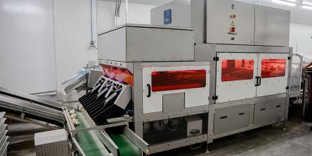 Boletín Agosto 2025