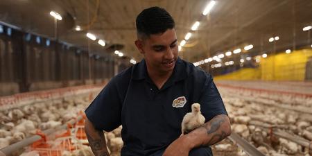 Sterling, desde pequeño, lo supo: los animales serían su destino