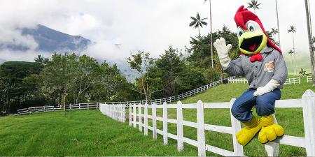Transformación total: El éxito de la nueva imagen de la Tienda Don Pollo en Pereira, sector Cuba